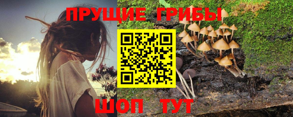 Псилоцибиновые грибы мухоморы Лесосибирск
